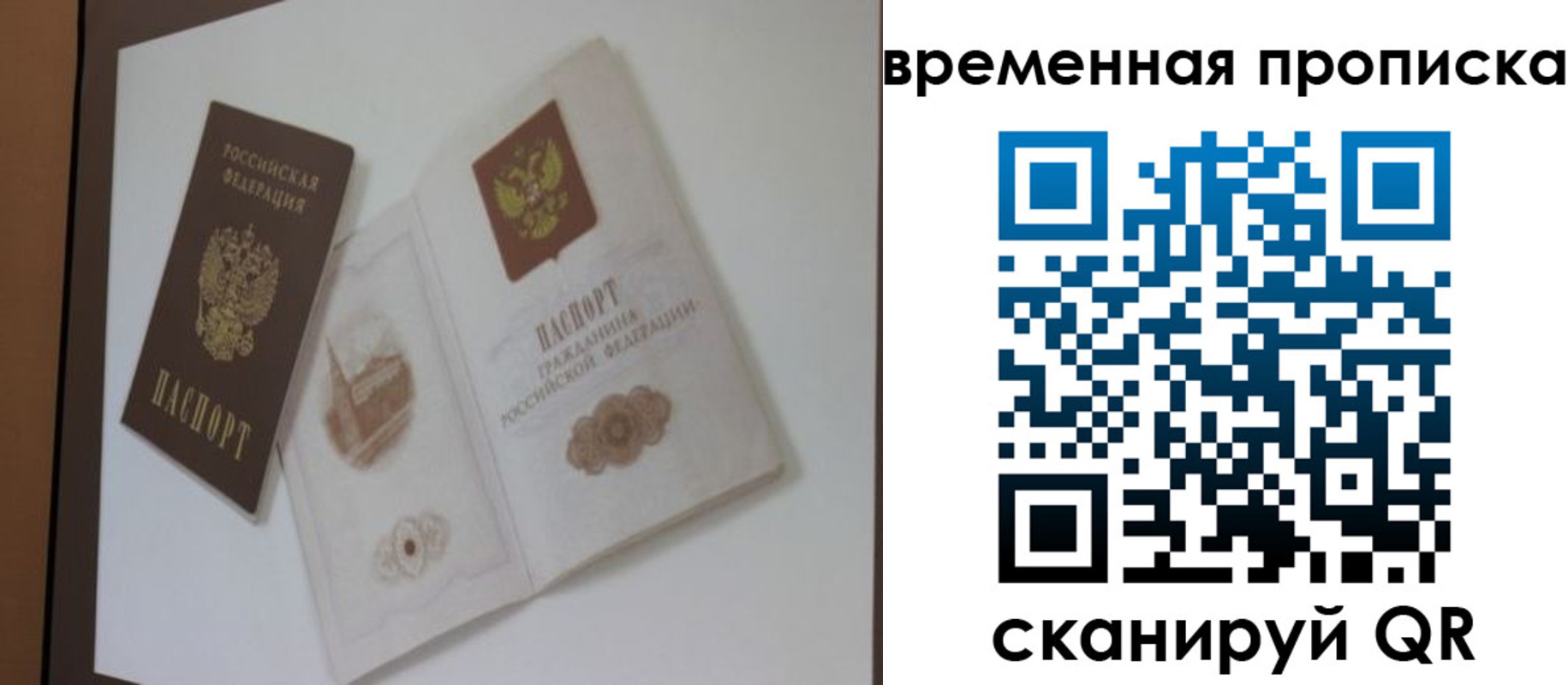 прописка 2025 в Лузе